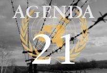 Agenda 21 je programový dokument OSN